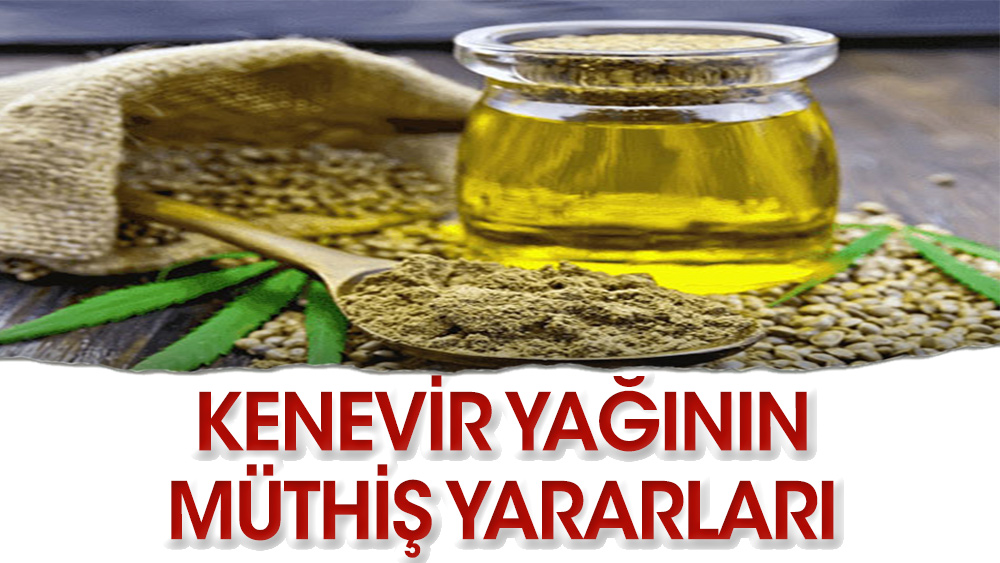 Kenevir Yağının hangi hastalıklara iyi gelir yararları nelerdir