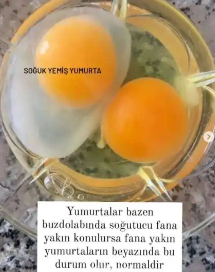 Yumurta hakkında bilmeniz gerekenler 11