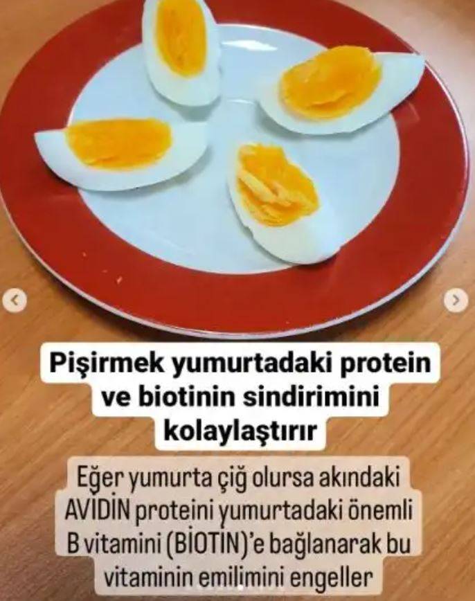 Yumurta hakkında bilmeniz gerekenler 6