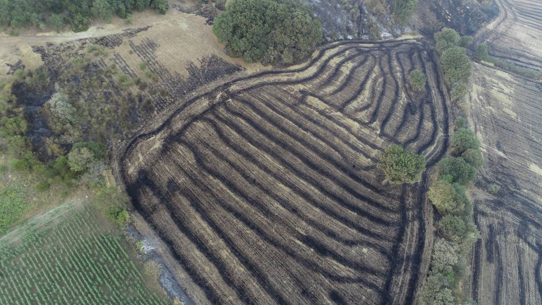 Çanakkale'deki orman yangını 39 saattir sürüyor 2