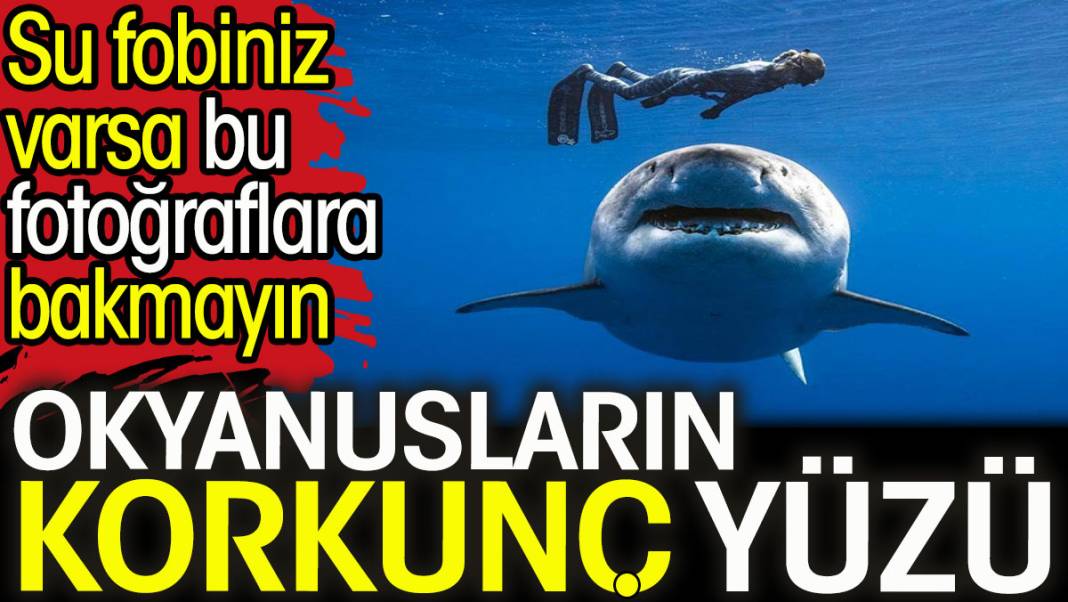 Okyanusların korkunç yüzü. Su fobiniz varsa bu fotoğraflara bakmayın 1