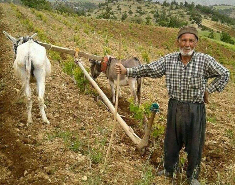 Tanınmış avukat Karadeniz’de ava çıkmıştı. Sonu umulmadık bir şekilde biten hikaye 3