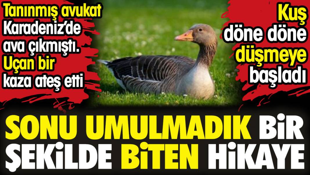 Tanınmış avukat Karadeniz’de ava çıkmıştı. Sonu umulmadık bir şekilde biten hikaye 1