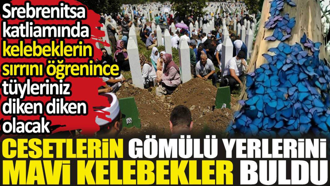 Cesetlerin gömülü yerlerini mavi kelebekler buldu. Srebrenitsa katliamında kelebeklerin sırrını öğrenince tüyleriniz diken diken olacak 1