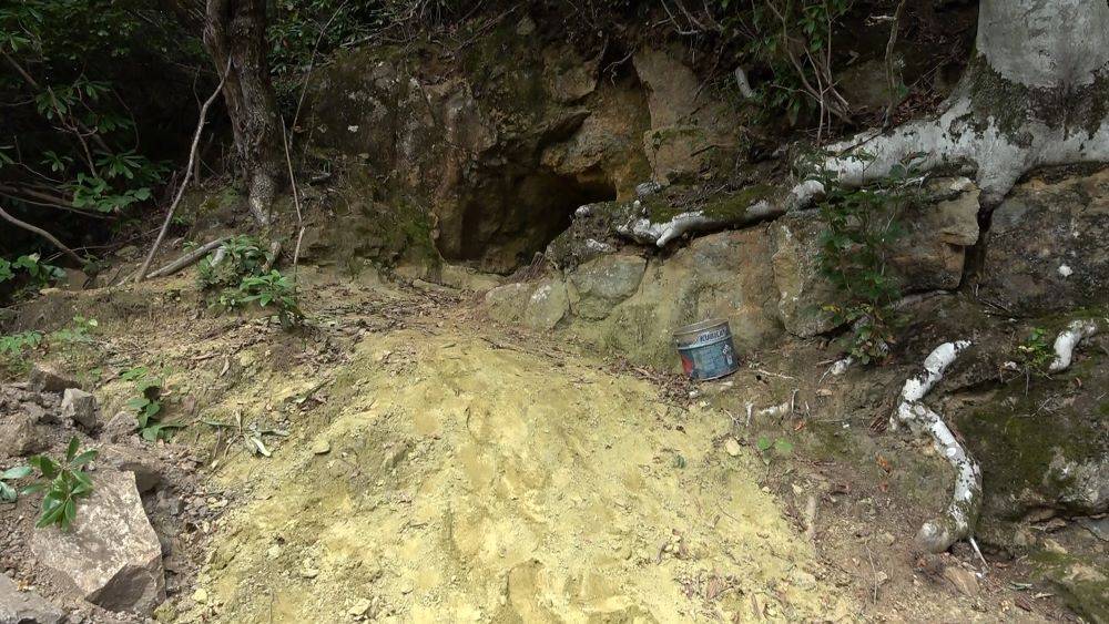 Köylü fındık toplarken defineciler amacına ulaştı. Trabzon’da dev çukurdan hazine mi fışkırdı? İş makinesiyle ormanda yol açtılar 12