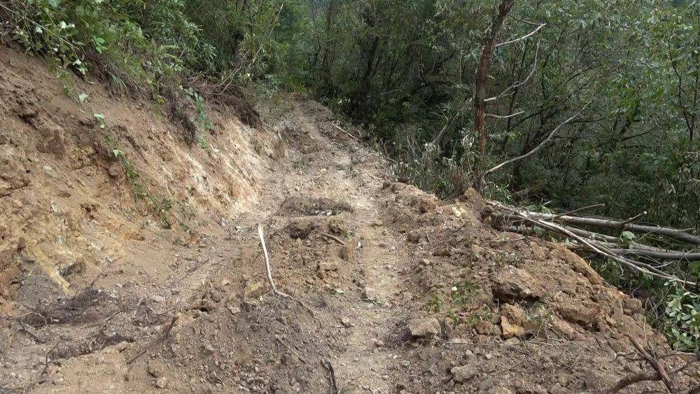 Köylü fındık toplarken defineciler amacına ulaştı. Trabzon’da dev çukurdan hazine mi fışkırdı? İş makinesiyle ormanda yol açtılar 9