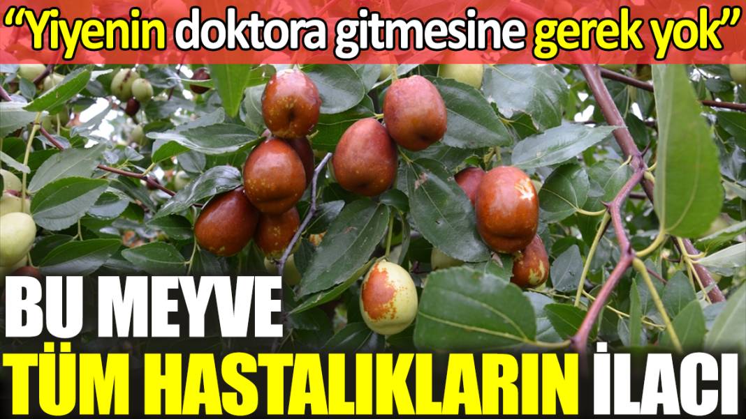 Bu meyve tüm hastalıkların ilacı. Yiyenin doktora gitmesine gerek yok 1