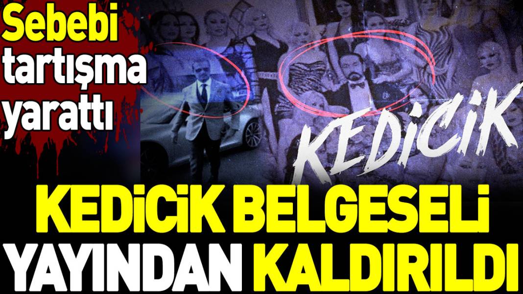 Kedicik belgeseli yayından kaldırıldı: Sebebi tartışma yarattı 1