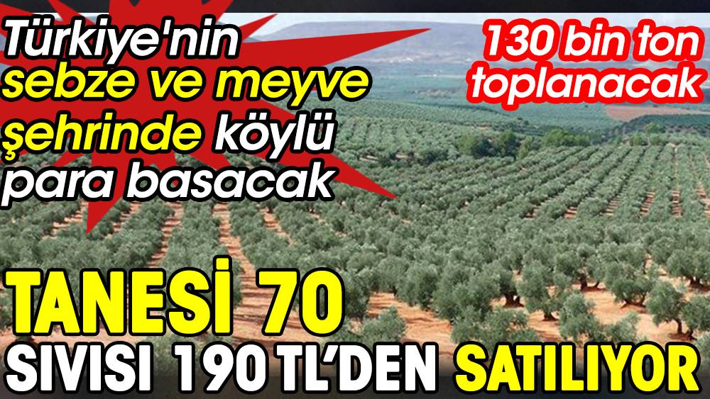 Tanesi 70 sıvısı 190 TL'den satılıyor. Türkiye'nin sebze ve meyve şehrinde köylü para basacak 1