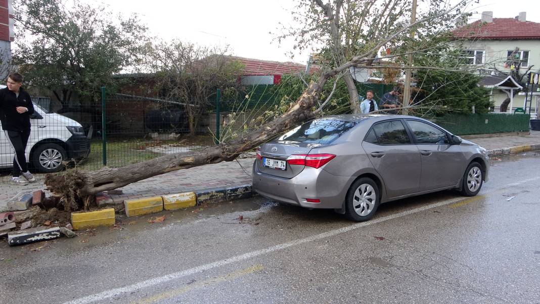 Edirne’yi lodos vurdu! Ağaç otomobilin üzerine devrildi 8