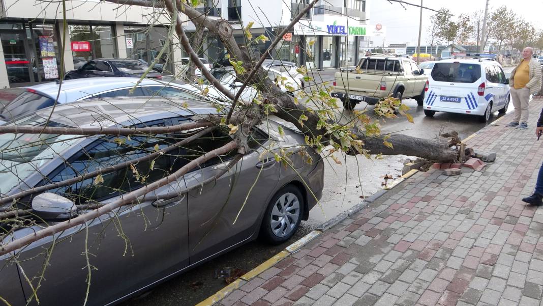 Edirne’yi lodos vurdu! Ağaç otomobilin üzerine devrildi 4