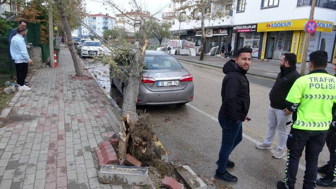 Edirne’yi lodos vurdu! Ağaç otomobilin üzerine devrildi 9