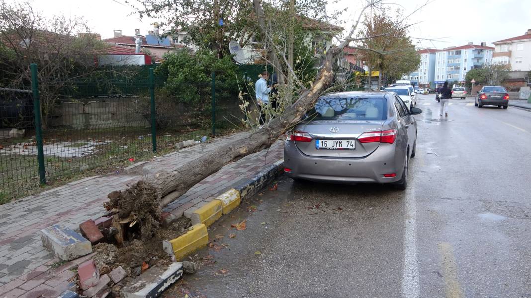 Edirne’yi lodos vurdu! Ağaç otomobilin üzerine devrildi 6