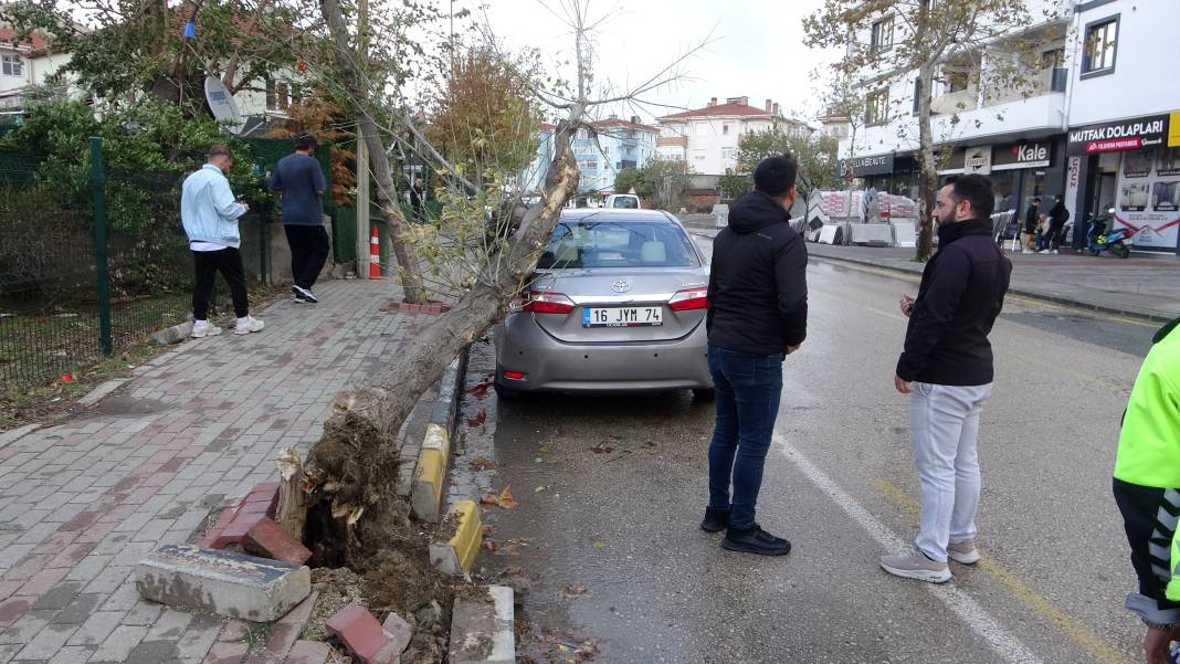Edirne’yi lodos vurdu! Ağaç otomobilin üzerine devrildi 7