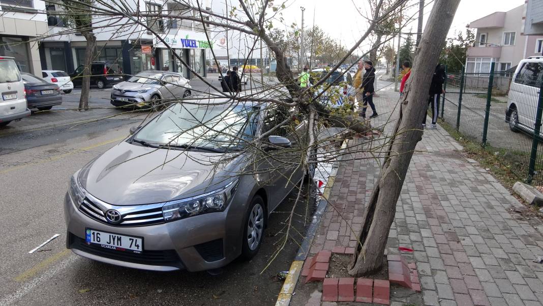 Edirne’yi lodos vurdu! Ağaç otomobilin üzerine devrildi 5