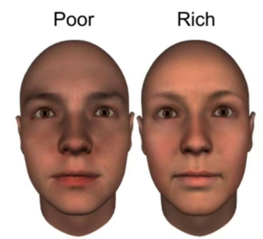 Bilim insanları zengin ve fakir yüz tipini belirledi 9