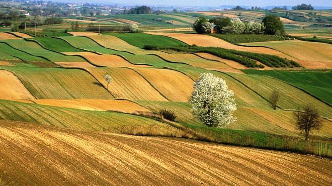 Milyonlarca çiftçiyi ilgilendiren karar: Tüm tarım arazileri tek tek kontrol edilecek 9