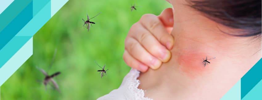 Sivrisineklerin en çok ısırdığı kan grubu belli oldu. Herkes ısırılma riskini öğrensin 6