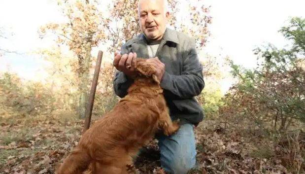 Ormanda iki köpeği buluyor kilosunu 2 bin 460 TL'ye satıyor. Günde 7 kilo da bulduğu oluyor 10