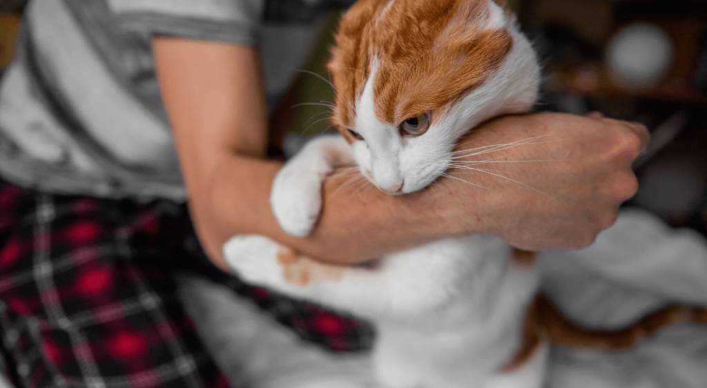 Her yıl giderek artıyor. Hiçbir belirti göstermiyor ama ölüme kadar götürüyor 5