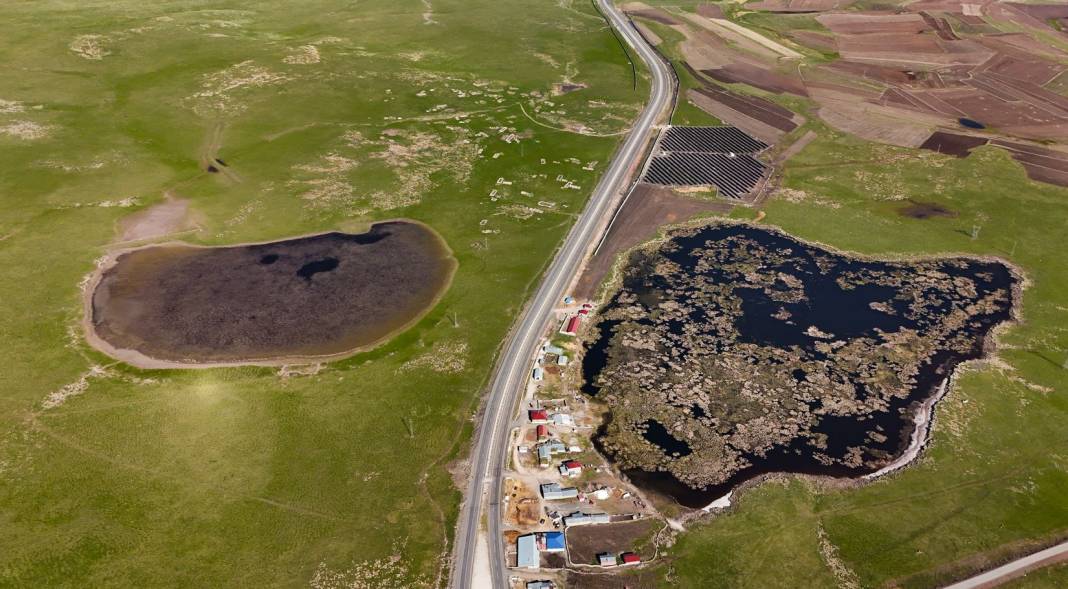 Buzları çözülen Çalı Gölü göçmen kuşların uğrak yeri oldu 9