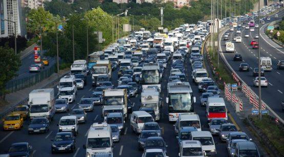 Göçmen kuşların hareket günü bugün. Eve gidene kadar dikkatli olun 8