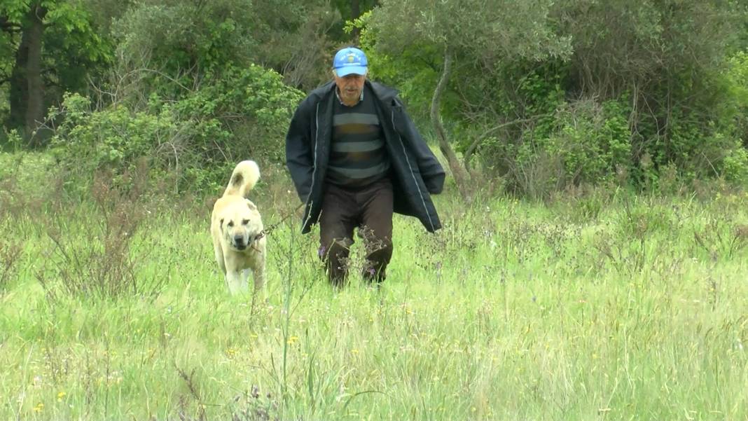 Korhan Hoca’nın kayıp kemikleri 3 kadavra arama köpeği ile aranıyor 11