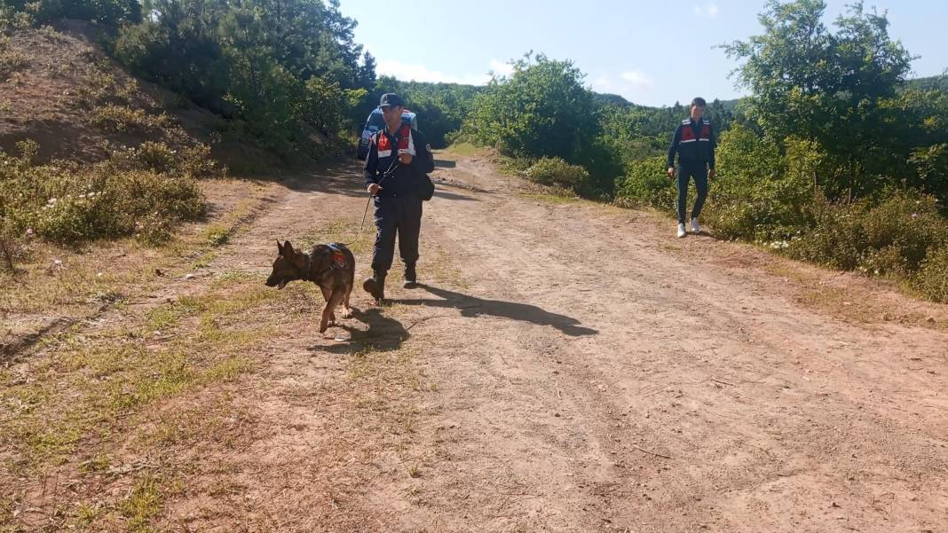 Korhan Hoca’nın kayıp kemikleri 3 kadavra arama köpeği ile aranıyor 5