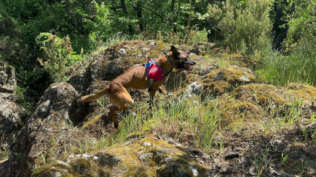 Korhan Hoca’nın kayıp kemikleri 3 kadavra arama köpeği ile aranıyor 3