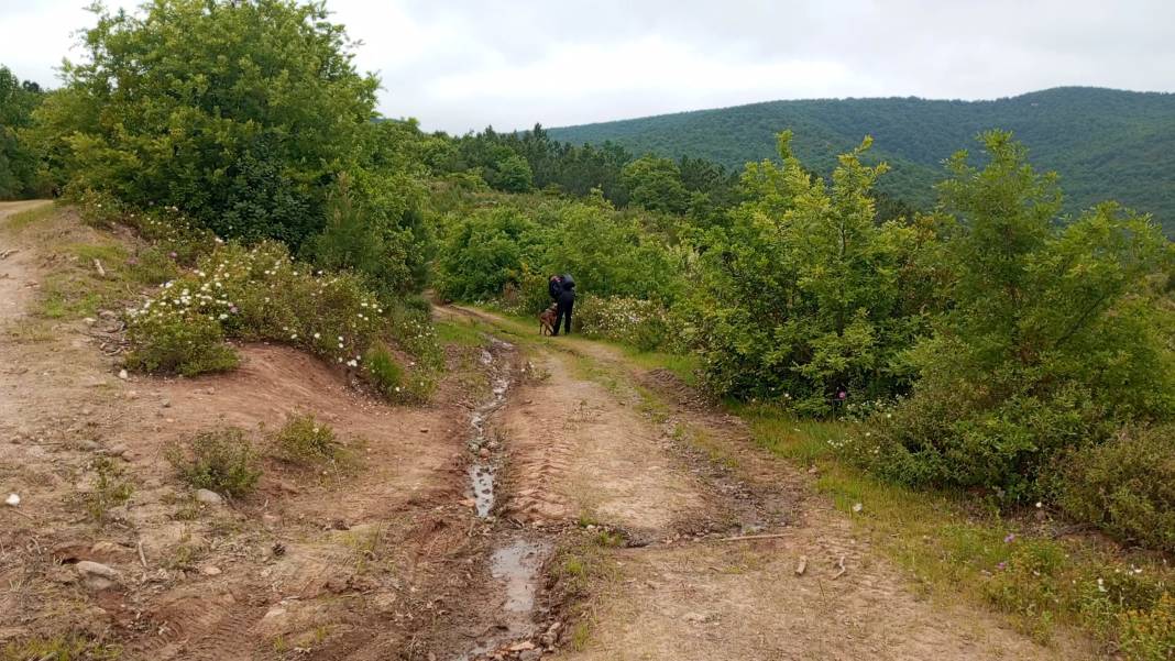 Korhan Hoca’nın kayıp kemikleri 3 kadavra arama köpeği ile aranıyor 13