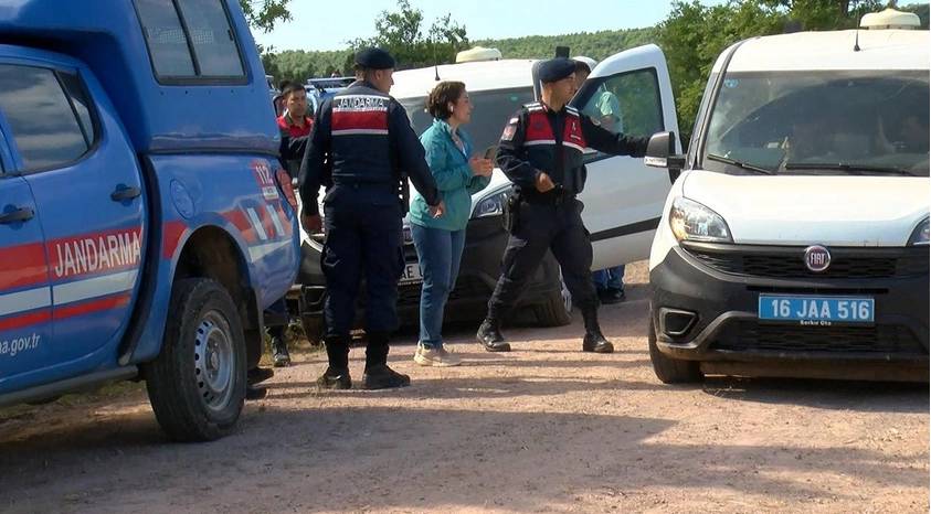 Korhan Berzeg'i sırtlanlar mı öldürdü? Türkiye'de sırtlan üreme alanı varmış 13