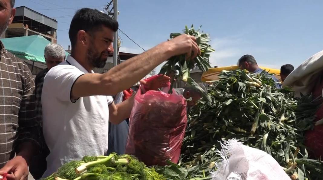 Dağlarda yetişiyor basuru bitiriyor romatizma ağrılarını dindiriyor. Kilosu 25 TL 6