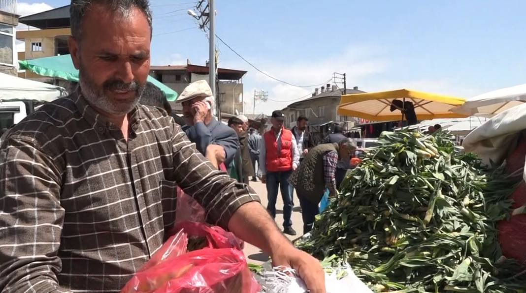 Dağlarda yetişiyor basuru bitiriyor romatizma ağrılarını dindiriyor. Kilosu 25 TL 2