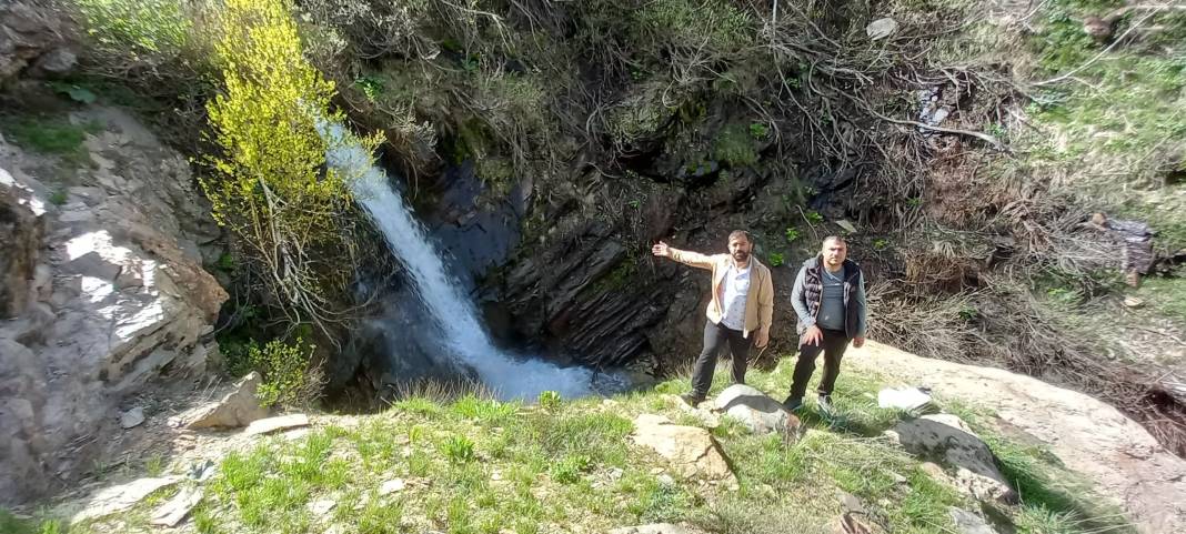 Kemik erimesini durduruyor kansere duvar örüyor. Köylüler bedava topluyor kilosunu 200 TL'ye satıyor 8