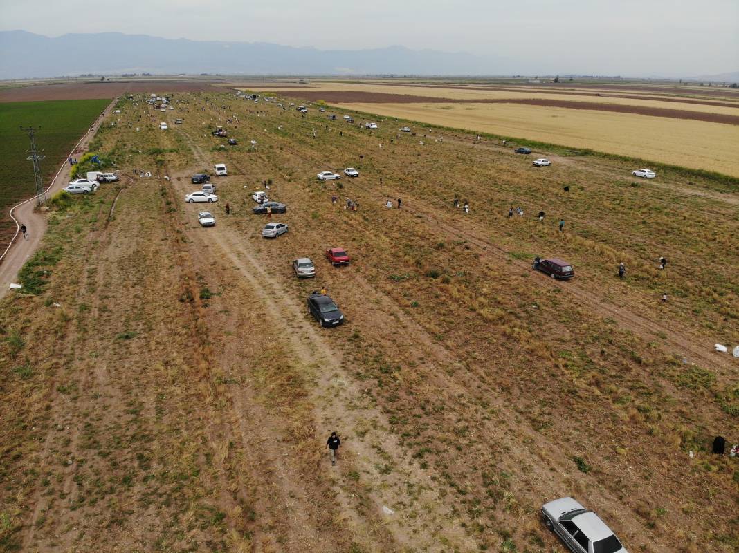 Soğanları satamayınca tarlayı vatandaşa açtı. Akın akın tarlaya geldiler 1