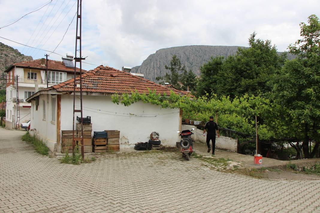 Köpekler kaçırdı azgın kurtlar parçaladı. Köylünün hayali yıkıldı 2