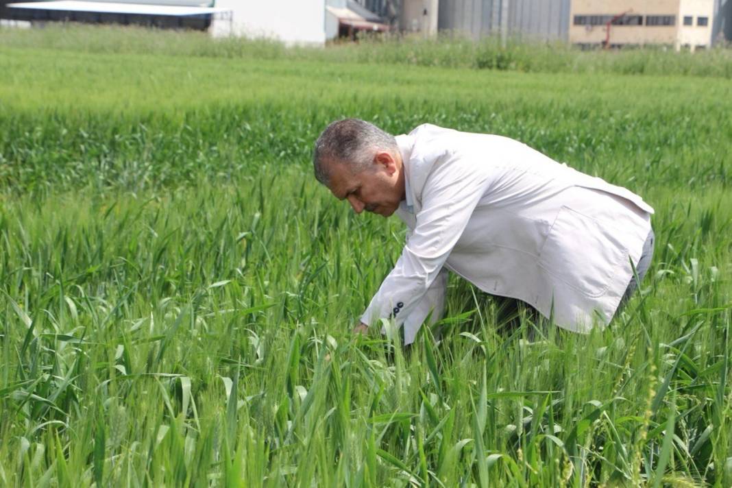 Geri sayım başladı, çiftçi yüksek verim bekliyor! 4