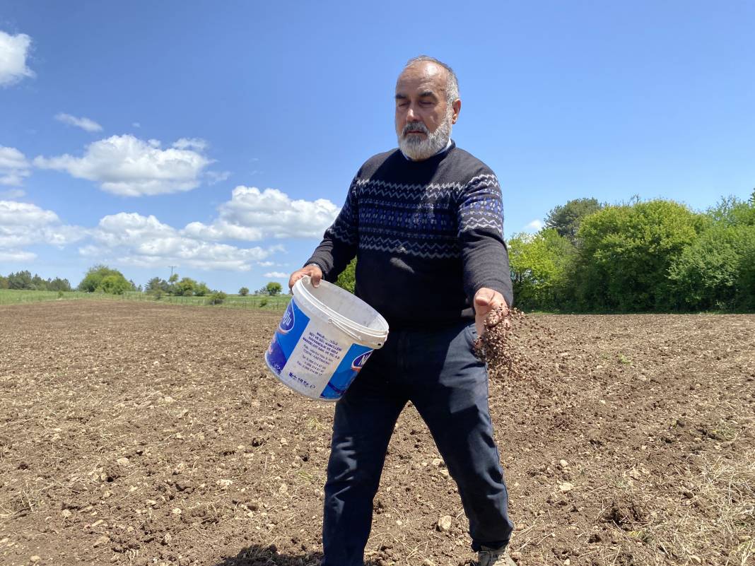 Denemek için ektiler, taleplere yetişemiyorlar! Yaklaşık 1 metreye kadar uzuyor 2