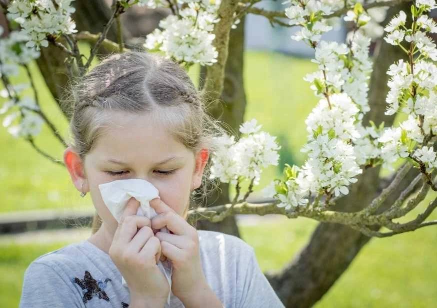 Mevsimi geldi çattı. Polen alerjisi olanlara uzmanından kritik öneriler 2