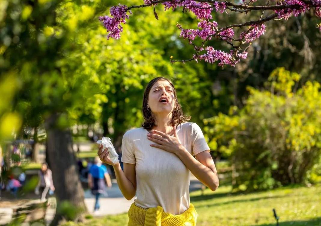 Mevsimi geldi çattı. Polen alerjisi olanlara uzmanından kritik öneriler 3