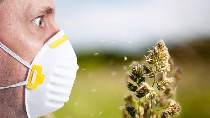 Mevsimi geldi çattı. Polen alerjisi olanlara uzmanından kritik öneriler 10