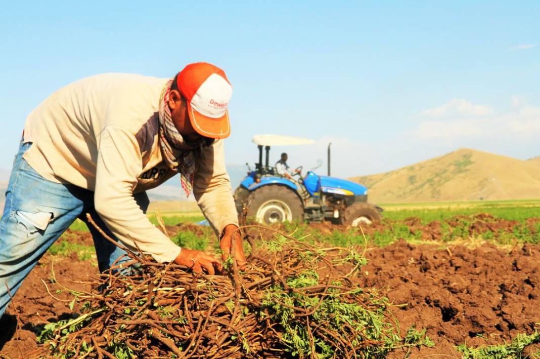 Ödemeler hesaplara yatıyor. Bakanlık açıkladı 1