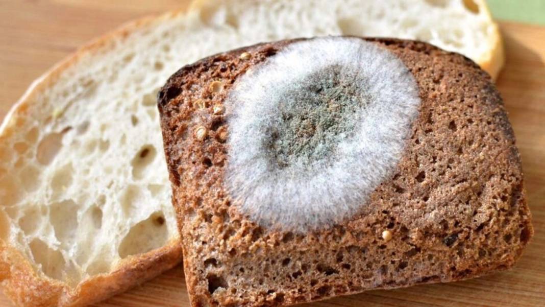 Bitki özlerinden ekmekte küflenmeyi geciktirecek katkı maddesi ürettiler 3