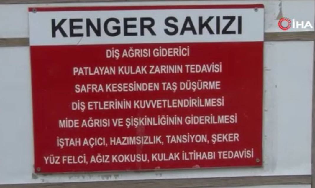 Fiyatı çeyrek altını geçti. Kenger sakızının kilosu 5 bin TL 13