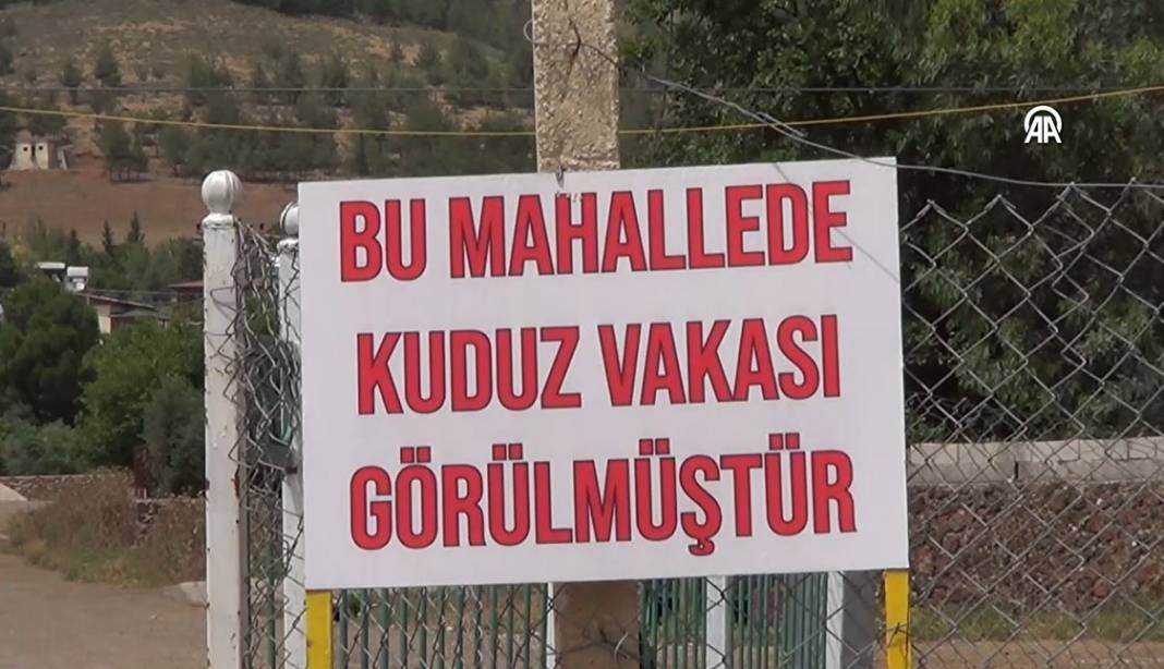 Kuduz alarmı. İki mahalle karantinada 6