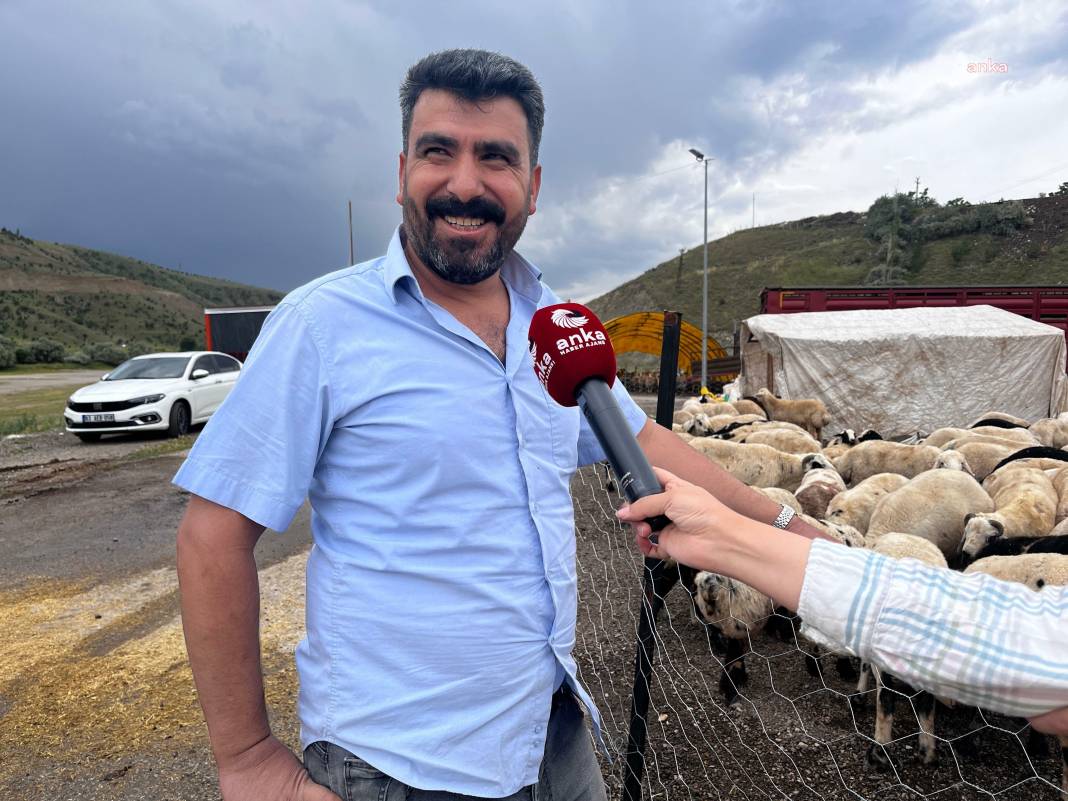 Kurban fiyatlarına yüzde 300'e varan zam. Emekli bu bayramda et için komşu yolu gözleyecek 7