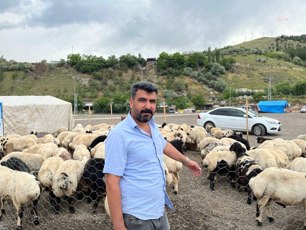 Kurban fiyatlarına yüzde 300'e varan zam. Emekli bu bayramda et için komşu yolu gözleyecek 8