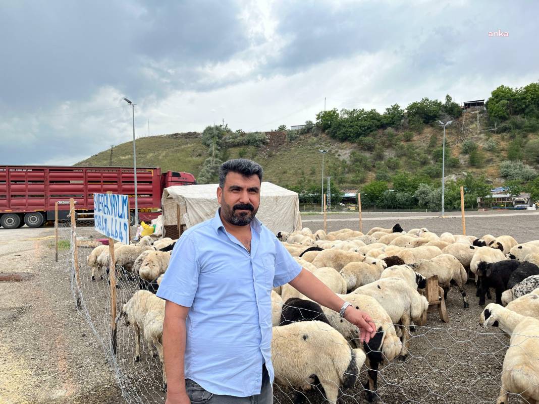 Kurban fiyatlarına yüzde 300'e varan zam. Emekli bu bayramda et için komşu yolu gözleyecek 2