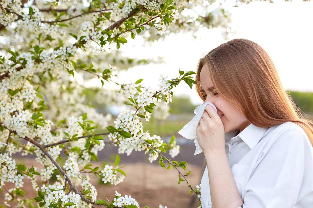 Mevsimi geldi çattı. Polen alerjisi olanlara uzmanından kritik öneriler 6