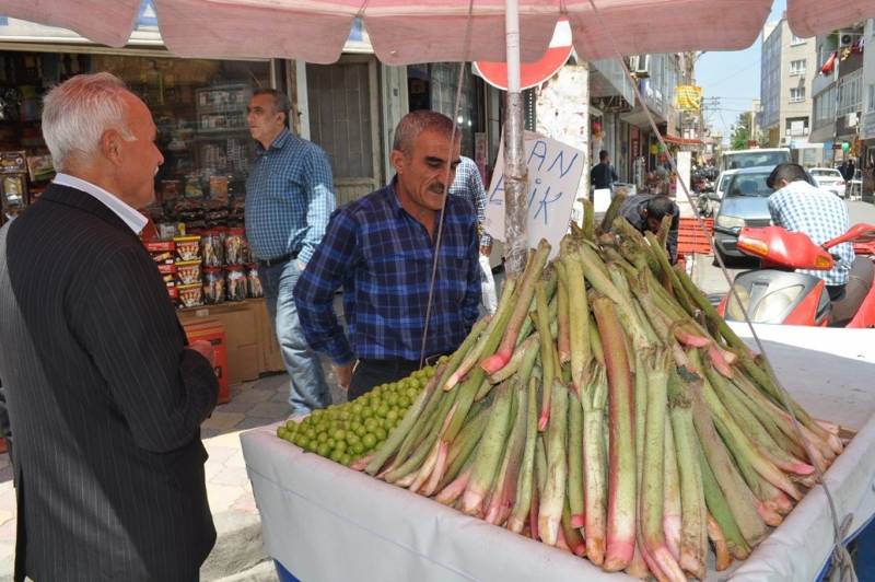 Kemik erimesini durduruyor kansere duvar örüyor. Köylüler bedava topluyor kilosunu 200 TL'ye satıyor 14